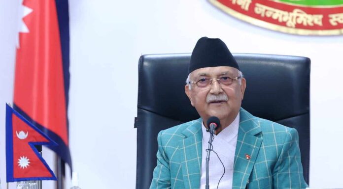 oli-cabinet-1024x512-1-696x385 (1)