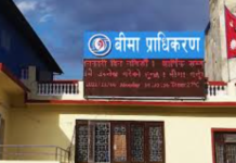 नेपाल बीमा प्राधिकरणमा निर्देशकहरुको जिम्मेवारी हेरफेर