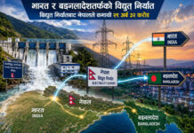 विद्युत् निर्यातबाट नेपालले २९ अर्ब ३२ करोड कमायोः नेपाल विद्युत प्राधिकरण
