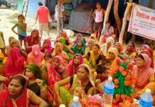 खाद्य तथा पोषण सुरक्षा सुधार आयोजनाद्वारा धनुषा र महोत्तरीका कृषक आत्मनिर्भर बन्दै