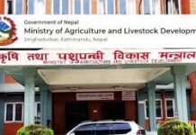 पशुसेवाविभागले बर्डफ्लु सङ्क्रमित पन्छी बिक्री गरे कारबाही गर्ने