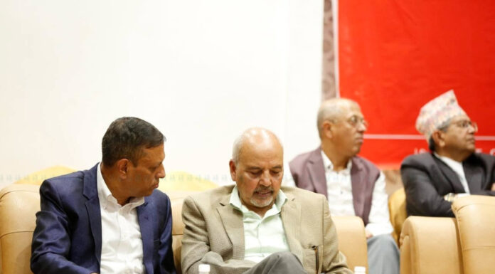 सरकारको कार्यशैेलिले संविधान नै संकटमाः संविधानविद